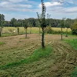 Daire Gartenblick Im Gutshaus - *