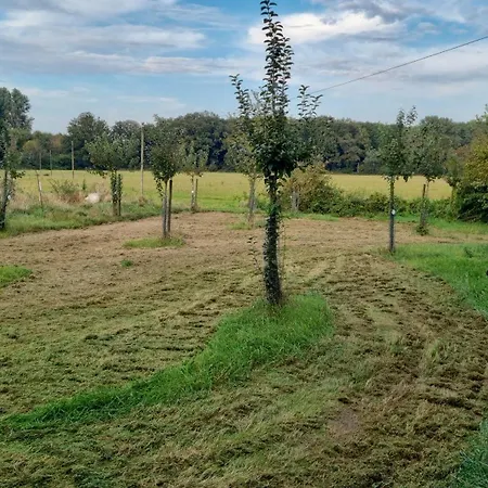 Apartmán Gartenblick Im Gutshaus - *